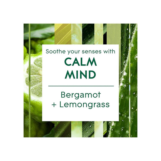 Glade Aromatherapy Reed Diffuser, Home Decor Essential Oils Diffuser Soothing Fragrance, Calm Mind with Italian Bergamot & Guatemalan Lemongrass, 80 ml