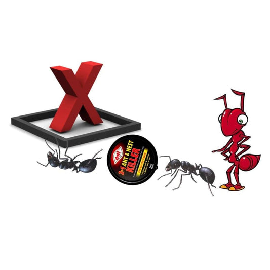 Ant killer | Indoor & Outdoor use ant killer bait station | Doff ant bait station 3 Pack