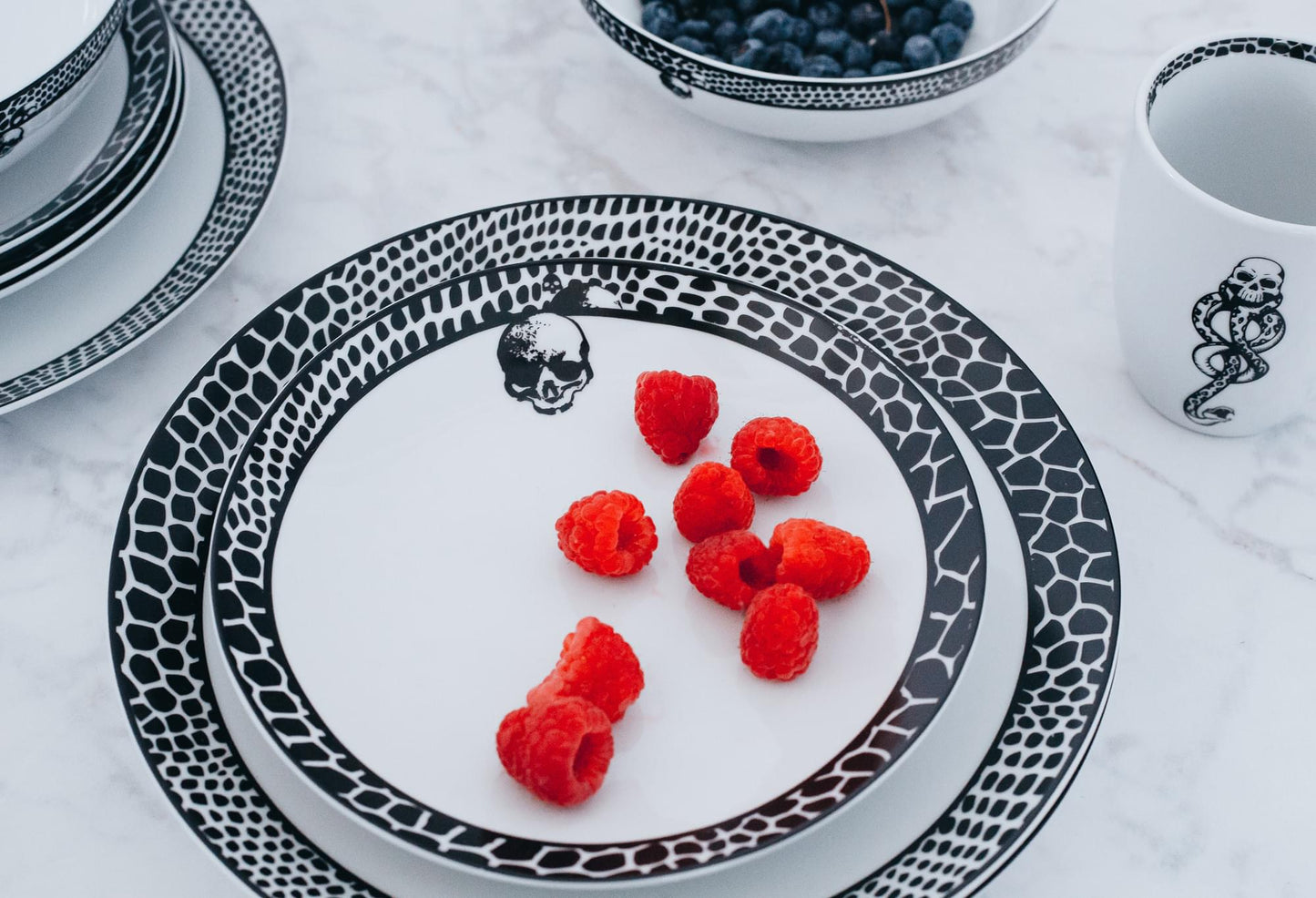 Harry Potter Voldemort Death Eater Dinnerware Sets | 16-Piece Ceramic Dinner Set