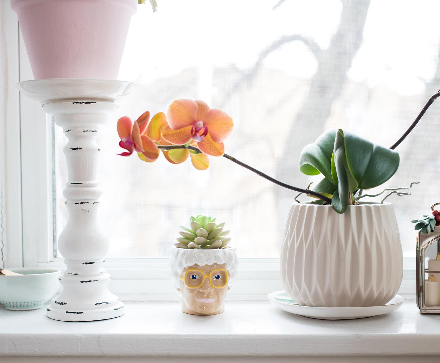 The Golden Girls Sophia Face Mini Ceramic Planter With Faux Succulent | 3 Inches