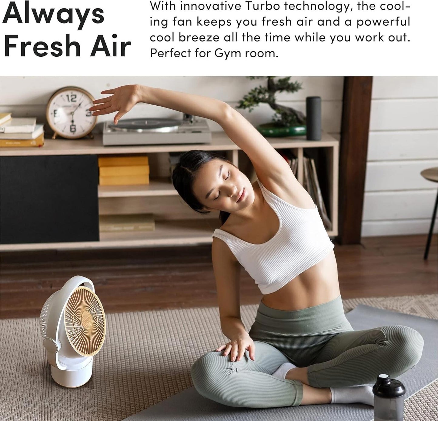 Litmor Air Circulator Fan Rechargeable quiet DC motor remote control timer